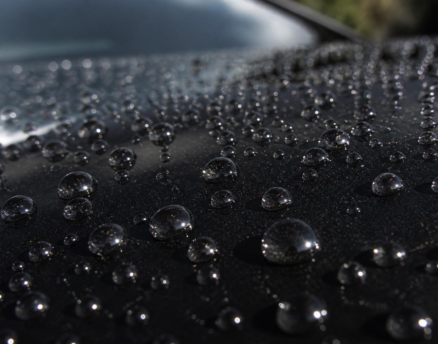 Water beading tightly on ceramic coated black car paint after a Grand Rapids ceramic coating service